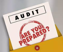 Prepare For IRS Audit