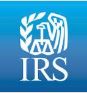 IRS, Transfer Pricing Examination Process
