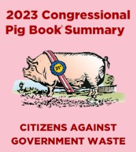 2023 Congressional Pig Book Summary